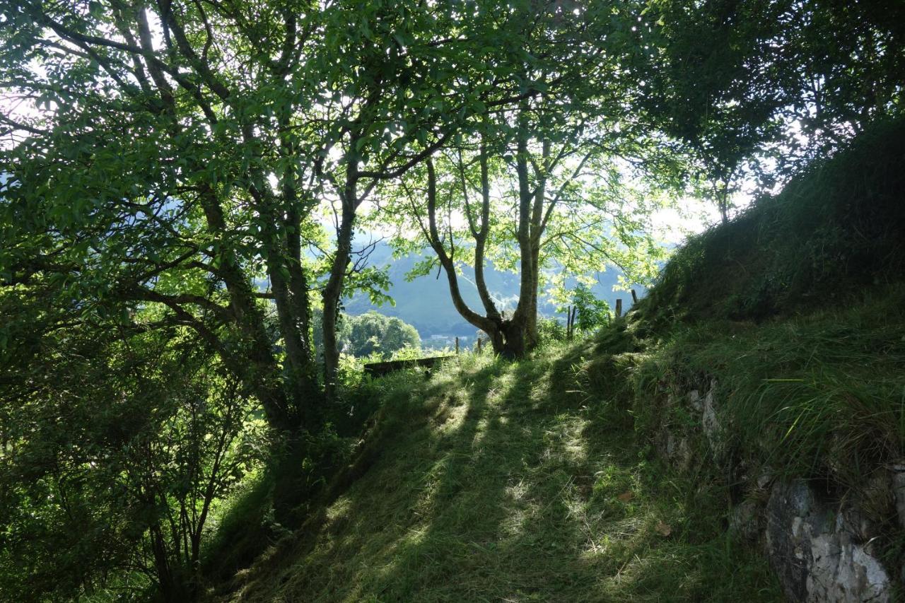 Gite Montagne Et Vie Bedous Kültér fotó