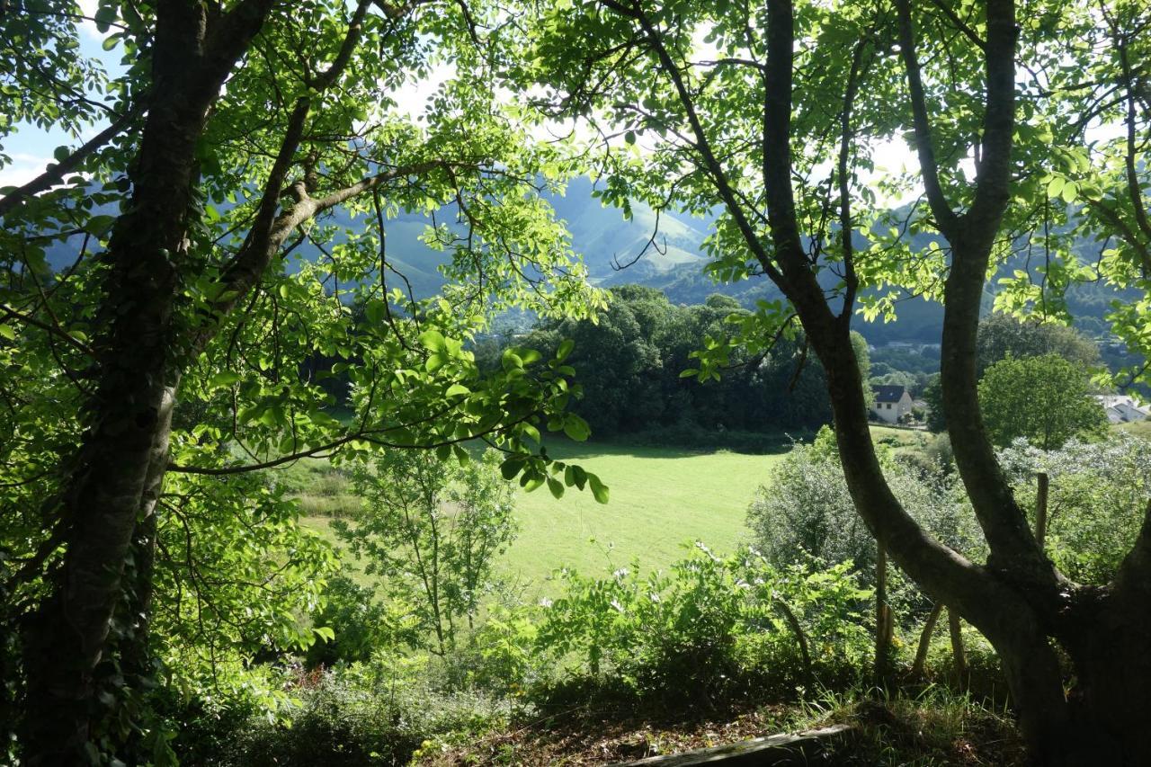 Gite Montagne Et Vie Bedous Kültér fotó